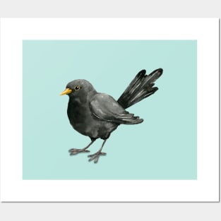 Blackbird ink drawing Posters and Art